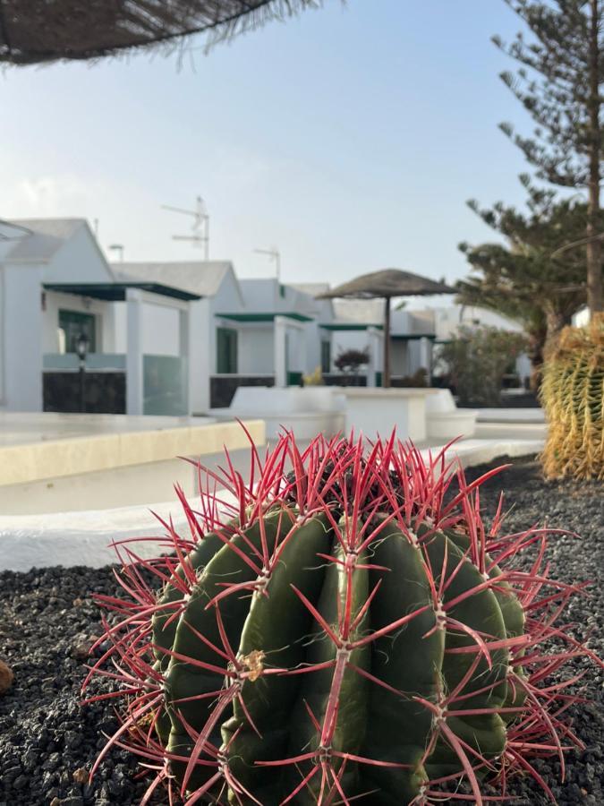 Apartament Casa Alba Puerto del Carmen  Zewnętrze zdjęcie